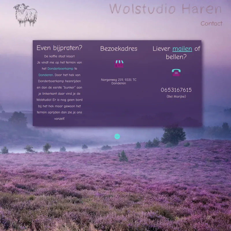 Screenshot van Wolstudio Haren